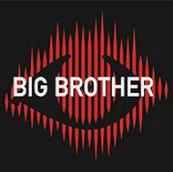 Big Brother V
